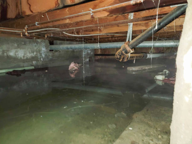 Best Basement water damage restoration  in Port Washington, WI