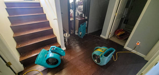 Best Carpet water damage restoration  in Port Washington, WI