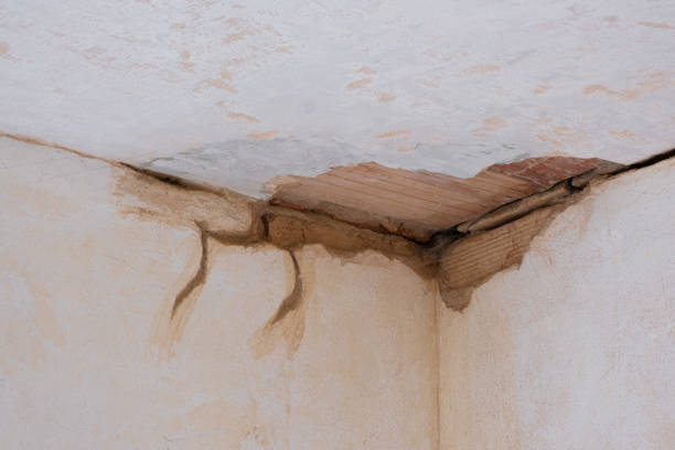 Best Sewage cleanup and water damage restoration  in Port Washington, WI