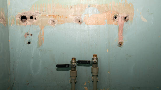 Best Water damage restoration near me  in Port Washington, WI