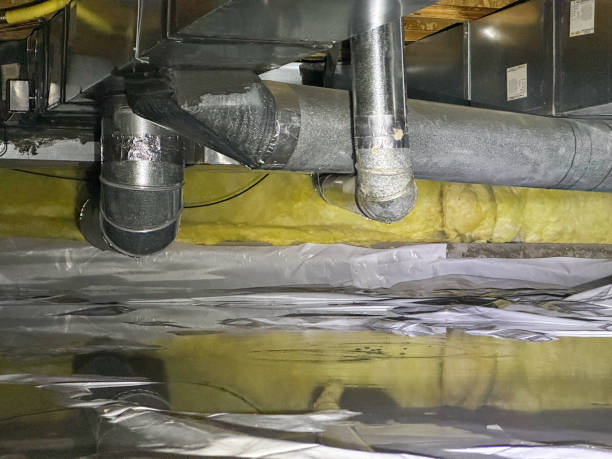 Best Flood restoration services  in Port Washington, WI