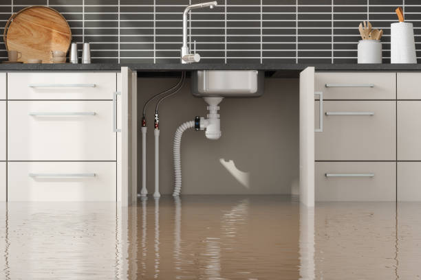 Best 24-hour water damage restoration  in Port Washington, WI