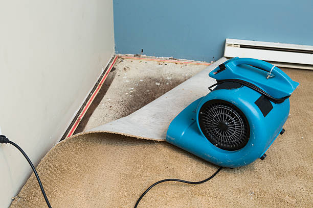 Best Mold removal after water damage  in Port Washington, WI